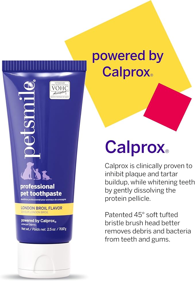 Petsmile Professional Pet Teeth Brushing Kit for Cats & Dogs - VOHC Accepted Toothpaste & Patented Toothbrush - Proven to Control Plaque & Tartar Calprox Formula (London Broil, 2.5 Oz)