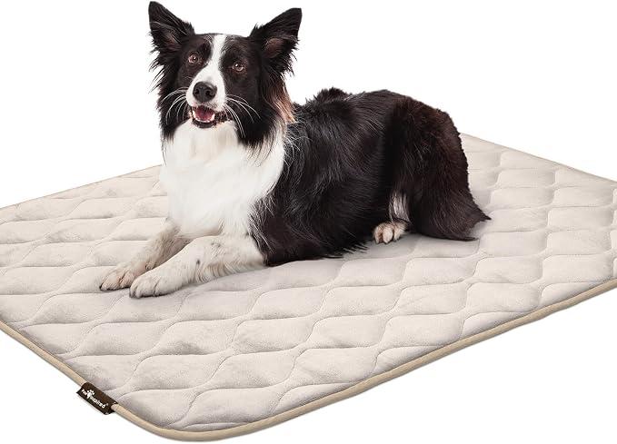 Paw Inspired Washable Padded Crate Mats for Dogs, Beige, 47x29 Inch | Fits 48-inch Kennels, Leakproof, Waterproof Bottom, Plush Dog Pad, Pet Bed
