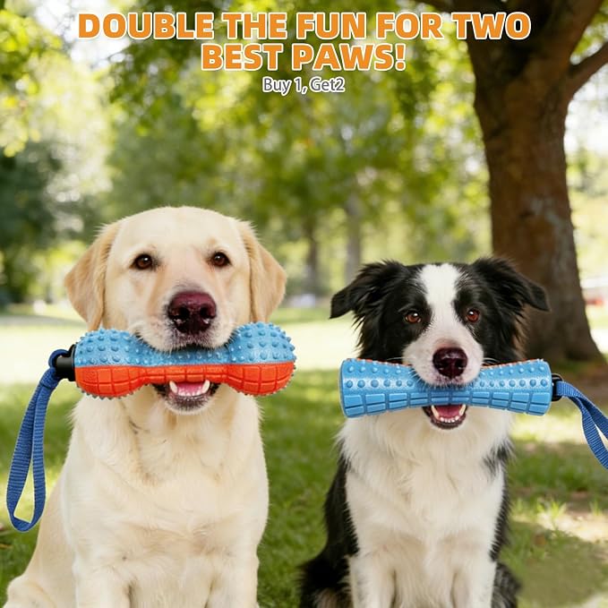 KOOLTAIL Floating Dog Toys,2 Pack TPR Water Pool Fetching Toy with Durable Rope for Small Medium Large Dogs,Bright Bumper Interactive Dog Chew Toys for Summer Outdoor Pool,Training&Teething