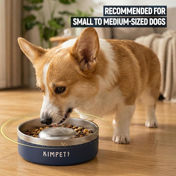 Dog Slow Feeder Bowls Food-Grade 304 Stainless Steel Dog Slow Feeder Bowl Double Wall Heavy Duty Non-Slip Rubber Base 2 Cups Capacity for Small Medium Dogs- Blue