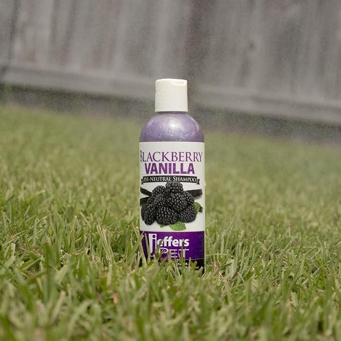 Jeffers Pet BlackBerry Vanilla Shampoo for Dogs & Cats, 17 oz – Coconut Based Soap Free Grooming Shampoo, pH Balanced Pet Wash, BlackBerry Tinted Vanilla Scent, Gentle Cleanser for Puppies & Kittens