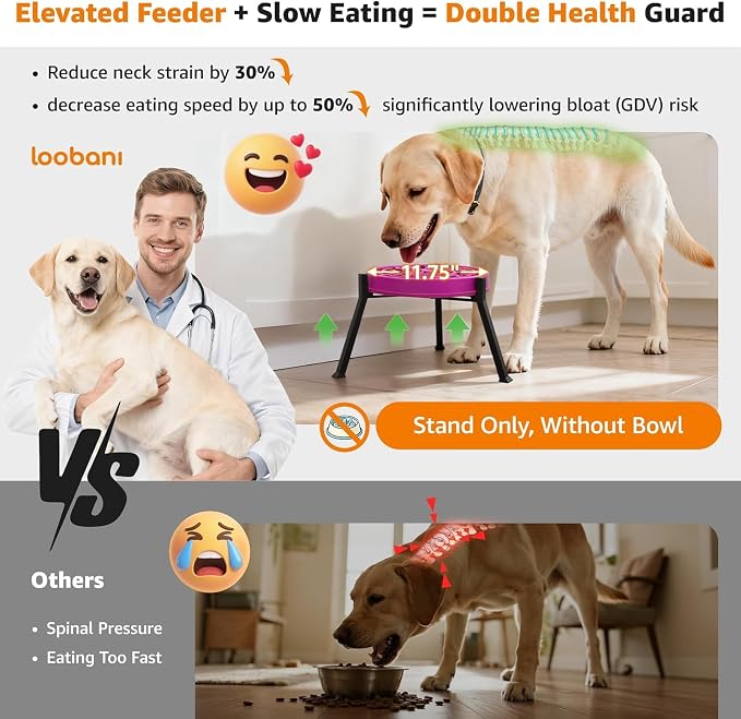 LOOBANI Elevated Dog Bowl Stand Adjustable 8.2"-11" Width for Large Seniors | for Senior & Arthritic Dogs, Reduces Neck Strain, Non-Slip Rubber Feet, Rust-Proof Stand, Easy Clean