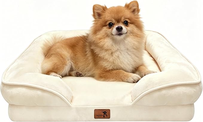 Spotted Play Orthopedic Dog Bed with Sides - Sofa Beds for Small Dogs, Supportive Foam Pet Couch Bed with Washable Removable Cover, Waterproof Lining and Non-Slip Bottom, Ivory - S