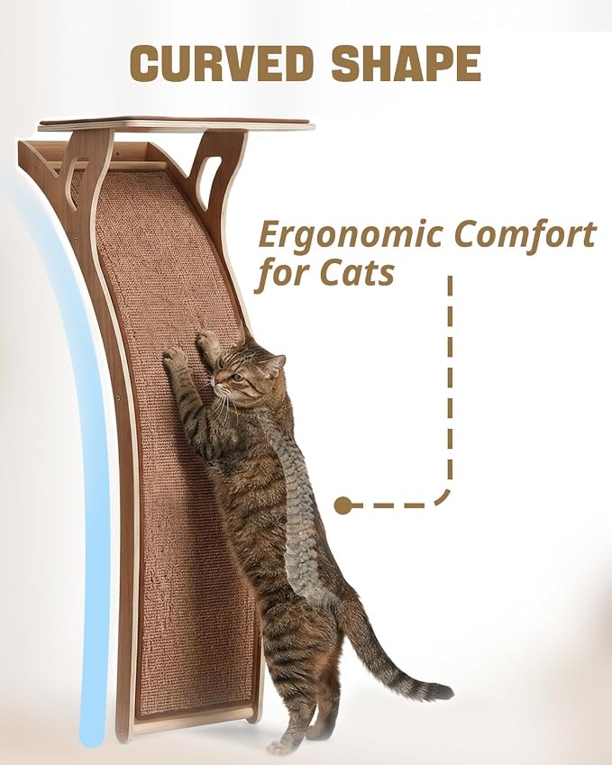 JKXJKX 47" Floor Standing Cat Window Perch with Curved Scratching Ramp, 80 Lbs Heavy Duty Window Bed Seat with Suction Cups, Furniture for Large Cats Indoor Bird Watching