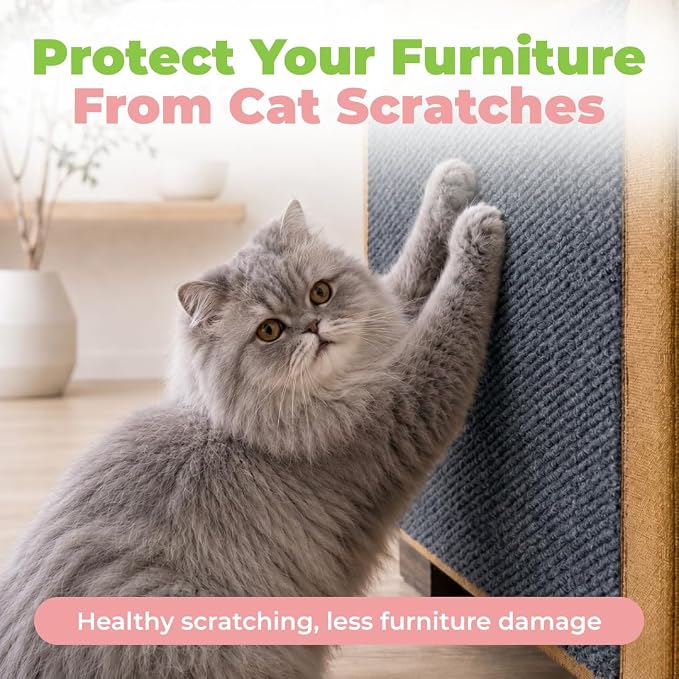 Best Pet Supplies Catify Cat Scratcher, Fun Interactive Scratchers, Posts, Poles, Claw Safe, Furniture Saver Indoor Play Support Natural Cat Behaviors Heavy Duty - Gray Mat - L: 39"