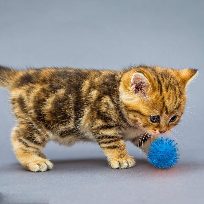 PET SHOW 20pcs Cat Sparkle Ball for Indoor Cats 1.77 Inch Assorted Color Glitter Kittens Toy Balls Cat Chase Pom Pom Balls for Cats