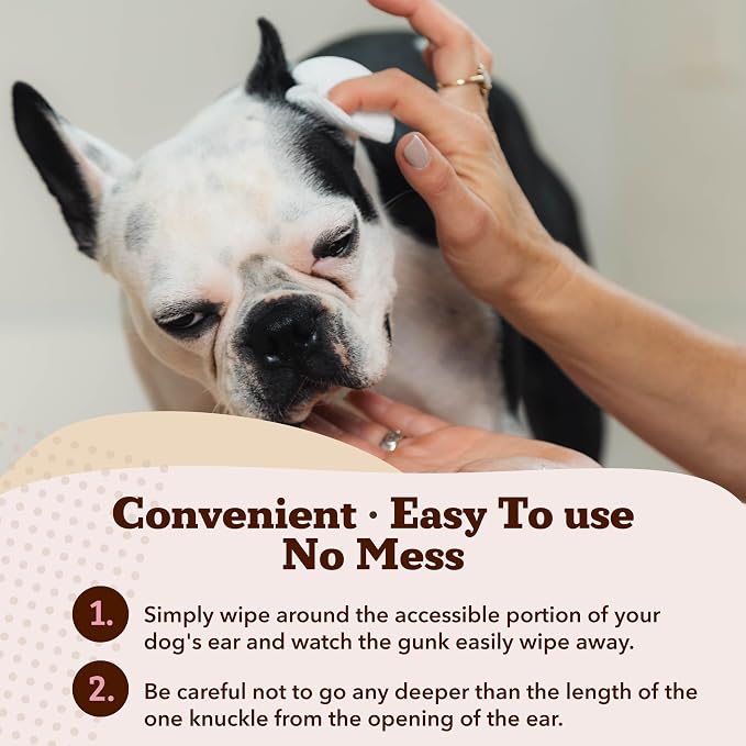 Natural Dog Company Ear Wipes for Dogs – Gentle Ear Cleaning Wipes for Wax, Odor & Itchy Ears, Soothing Cleaner with Aloe & Witch Hazel for Daily Care, 50 Count