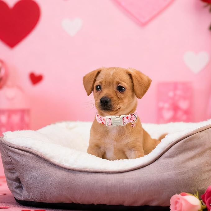 DOGWONG Valentine's Day Dog Collar-Cute Pink Bow Heart Pattern Dog Collars, Adjustable Valentine Heart Pet Collars Puppy Collar with Quick Release Buckle for Girl&Boy Dogs,L