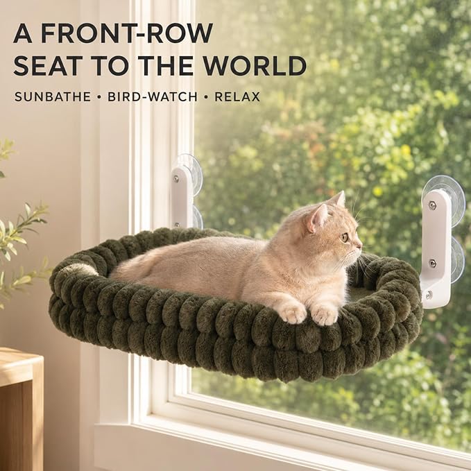 CHEERPALS Cat Window Perch for Indoor Cats Hammock for Window with Reversible Cushion, Foldable Cat Window Bed for Large Cats and Kittens, Cloud Series(Green,Medium)
