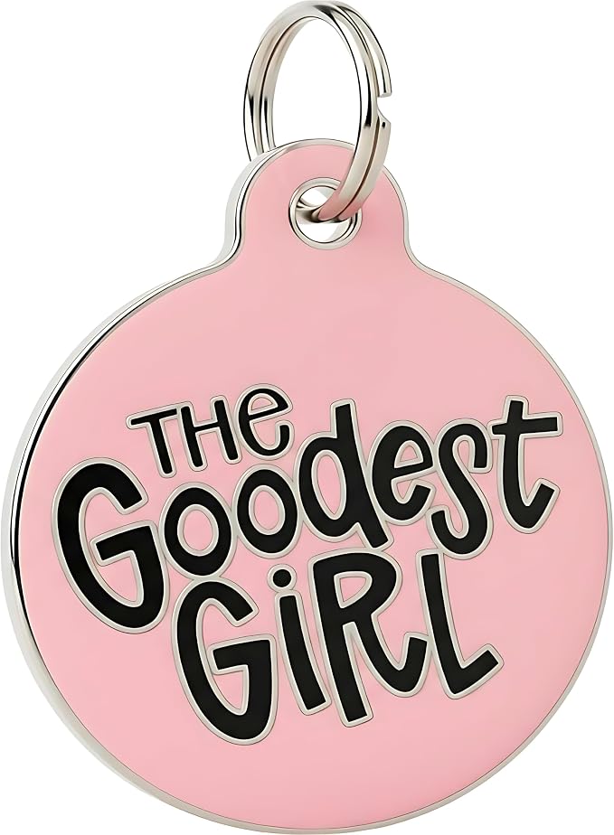 Bad Tags Personalized Dog and Cat ID Tags in 25+ Designs and 2 Sizes - 5 Lines of Custom Engraved Text - Funny Cute Personalized Pet Tags (The Goodest Girl, Large (1.25 inch))