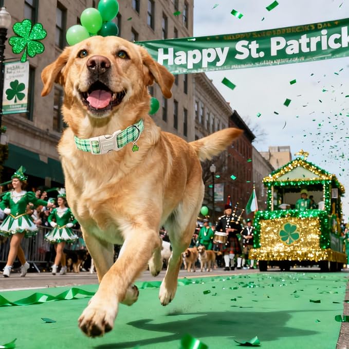DOGWONG St. Patrick's Day Dog Collar, Cute Green Plaid Dog Collars, Adjustable St. Patrick's Day Pet Collars Design Dog Collar with Quick Release Buckle for Boy Female Dogs