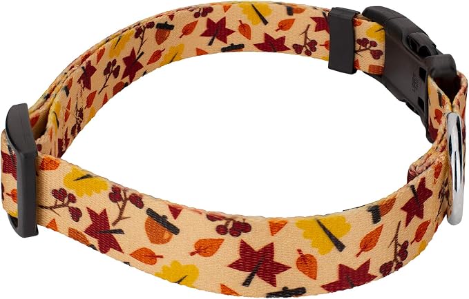 Country Brook Design 1/2 Inch Adjustable Everyday Dog Collar for Small, Medium, Large Breeds - Autumn and Fall Collection with Multiple Designs (Fall Foliage, 2XS)