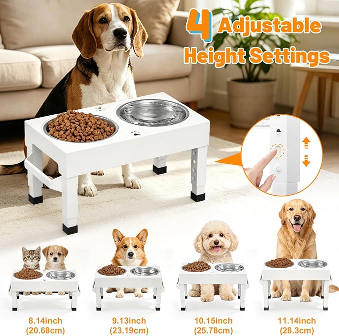 Elevated Dog Bowls Stand Large Breed, Height Adjustable Raised Dog Bowls Holder with 2 Stainless Steel Food Bowls for Small, Medium and Large Canine，White