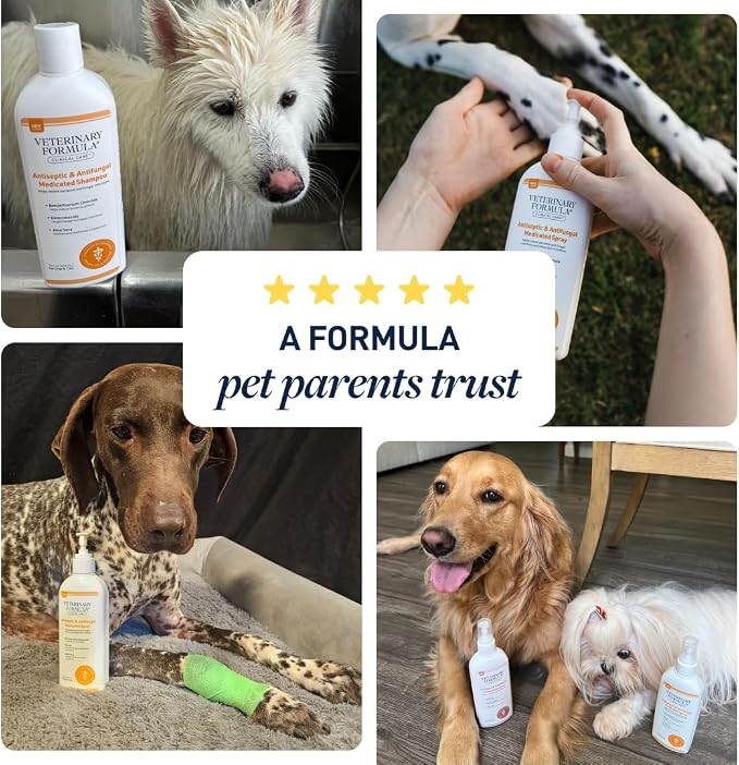 Veterinary Formula Clinical Care Antiseptic & Antifungal Shampoo + Spray | Complete antiseptic and antifungal shampoo and spray care for scaly, greasy or red skin in dogs and cats