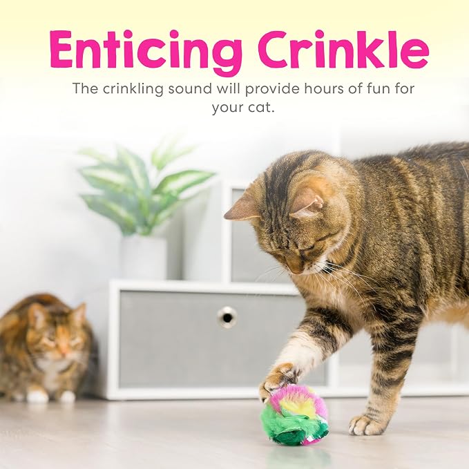 Large Cat Crinkle Ball 2.5 Inch | 1 Pack | Soft Lightweight Indoor Cat Toys with Durable Crinkle Build and Engaging Sound