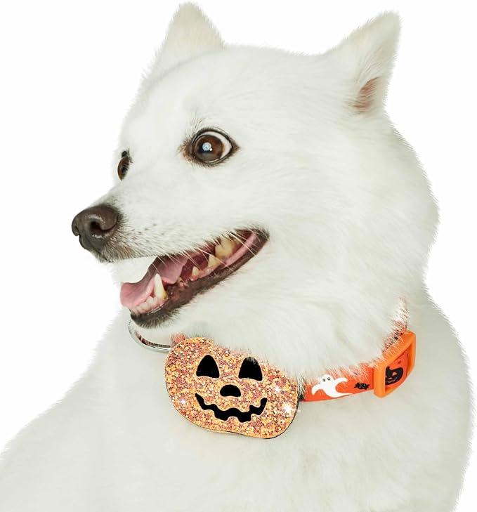 Blueberry Pet New Halloween Party Adjustable Dog Collar with Detachable Pumpkin Accessory, Large, Neck 18"-26"
