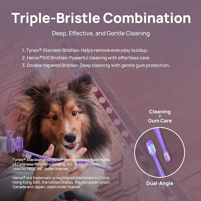 HICC PET Toothbrush for Dogs & Large Cats, Ergonomic Pet Toothbrush for Easy Teeth Cleaning,Gentle on Gums, Cat & Dog Oral Care – Toothpaste Not Included