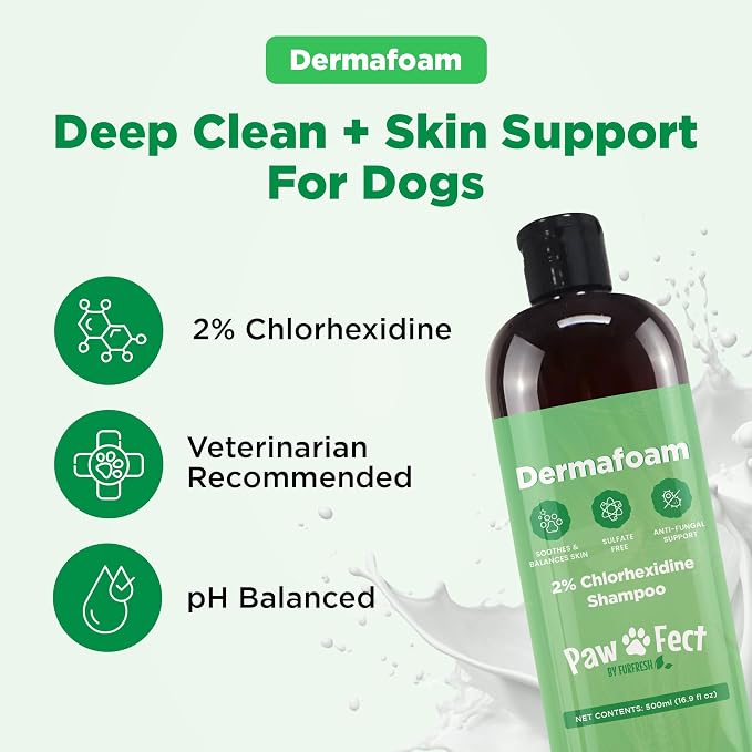 Pawfect DermaFoam Pet Shampoo Deep Cleansing for Greasy Coats & Deodorizing | A Canadian Company, Sulfate Free Moisturizing Formula with Aloe Vera & Bamboo Vinegar | Fresh Cucumber Scent 16.9 Oz