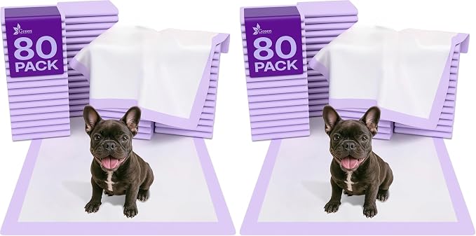 Pee Pads - Super Absorbent & Leak-Proof Pee Pads for Dogs - Puppy Pads - Waterproof Dog Pads, Dog Training Pads for Cats, Rabbits (Pack of 160 - 22x22)