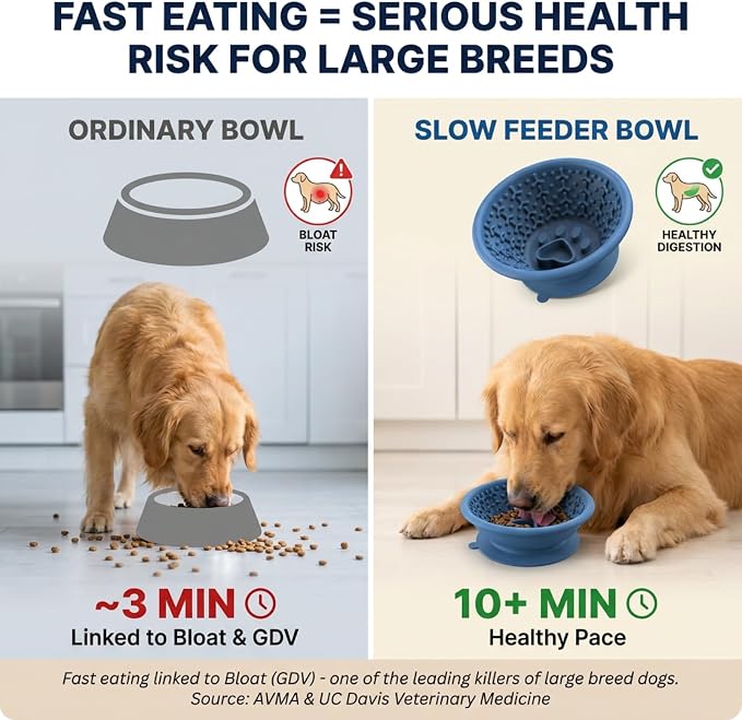 Dog Slow Feeder Lick Bowl to Prevent Fast Eating, Steel Reinforced Rim, Non-Slip Suction Base, BPA-Free Silicone, Dishwasher & Freezer Safe, Helps Extend Mealtime & Keep Dogs Calm(Blue)