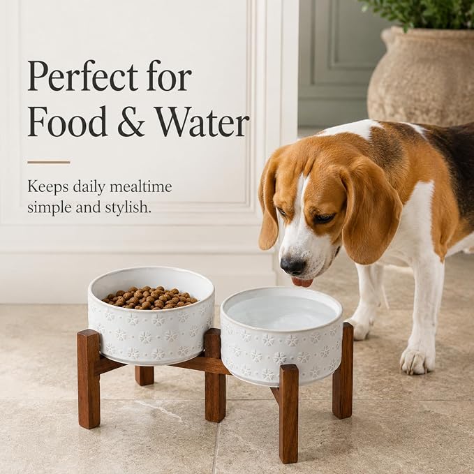 Havniva 6.1" Elevated Dog Bowls Ceramic Raised Dog Bowl with Non-Slip Stand (Acacia Wood) Two Height Options, Dog Food & Water Bowl for Small & Medium Breed Dogs - 3.4 Cups 27 oz