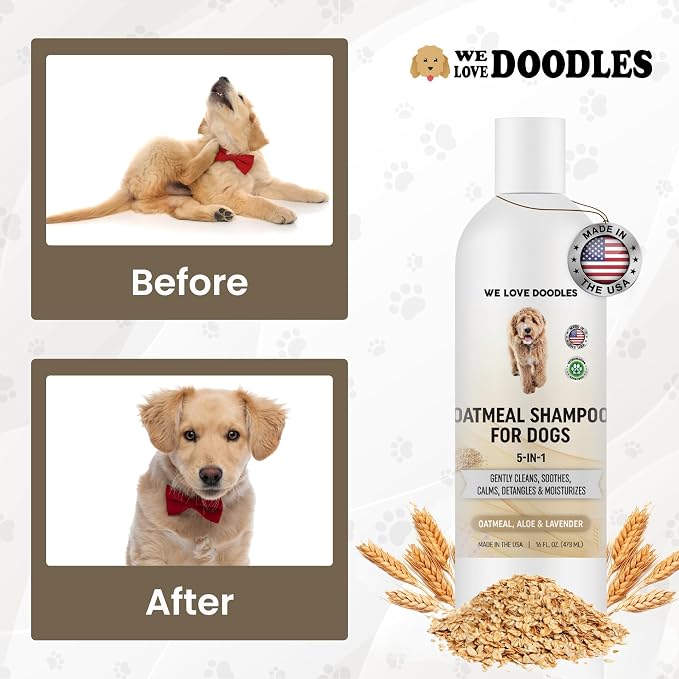 Premium Oatmeal Shampoo & Conditioner for Dogs with Sensitive & Itchy Skin | Provides Itch Relief & Soothes Dry Skin, Hypoallergenic, Tearless & Natural For Puppies, Pets & Cats, Anti-Itch, Made In USA