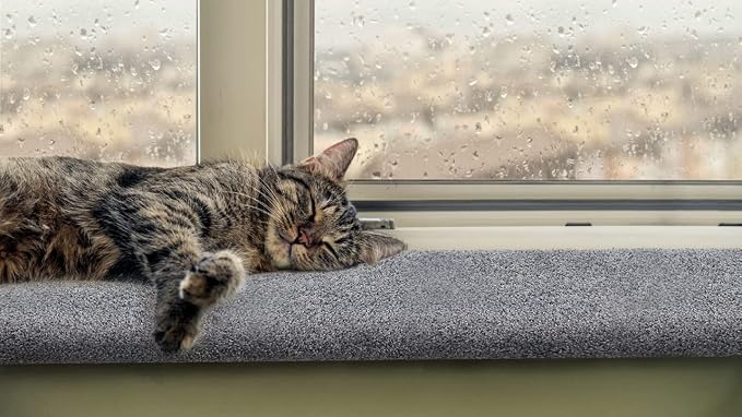 Purrched Cat Window Perch (29 Inch)