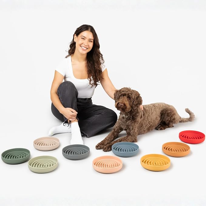 Should We Go? Slow Feeder Dog Bowls - Medium Size Silicone Slow Eating Dog Bowl for Puppies & Dogs with Suction Cup -Dishwasher-Safe,Lick Mat Design,Reduces Gulping,for All Breeds,6”x1.25”-Terracotta