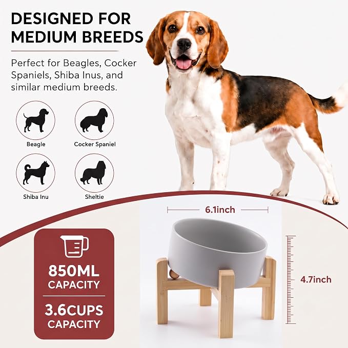 hjn Elevated Ceramic Dog Bowl 15°Slanted Raised Dog Bowl with Bamboo Stand for Small Medium Dogs and Cats, Pet Feeder-3.6-Cup (850ml)-Gray