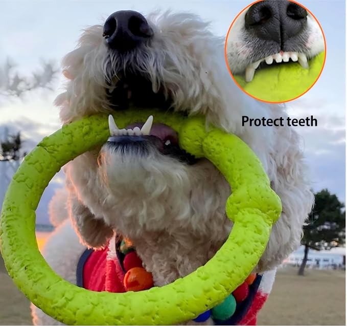 LaRoo Dog Ring Toy, Durable Soft Flying Disc, Thickened, Floatable Pool Toy for Medium Large Dogs, Interactive Tug of War & Fetch Toy for Outdoor Training, Teeth Cleaning & Exercise (Green-11.8inch)