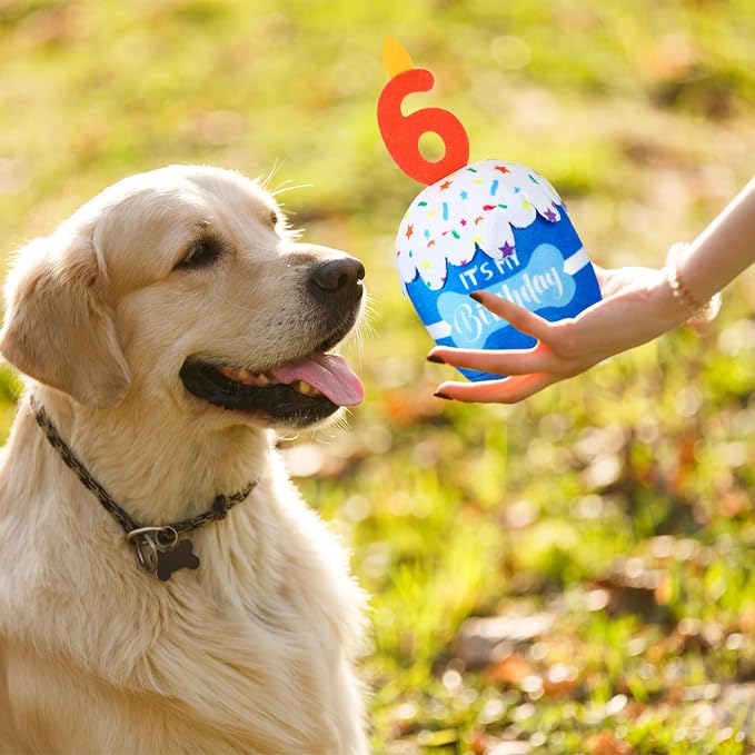 Dansydaisy Dog Birthday Cake Toy Squeaky Plush Toy for Girl Boy Gifts, Chew Accessories for Dog Birthday Party Decor Favor for Large, Medium and Small Dogs(6th,Blue)