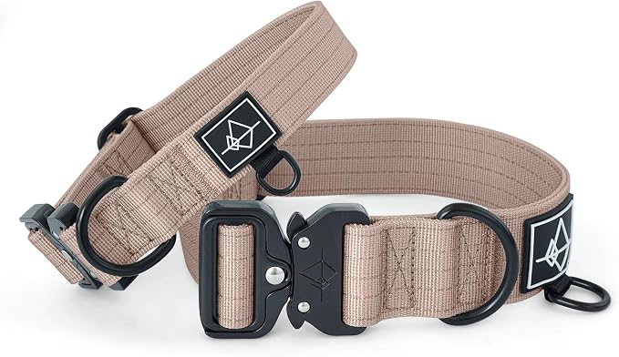 Made to ROAM Premium Dog Collar - Adjustable Heavy Duty Nylon Collar with Quick-Release Metal Buckle (Utah Glow, Classic Size 4)
