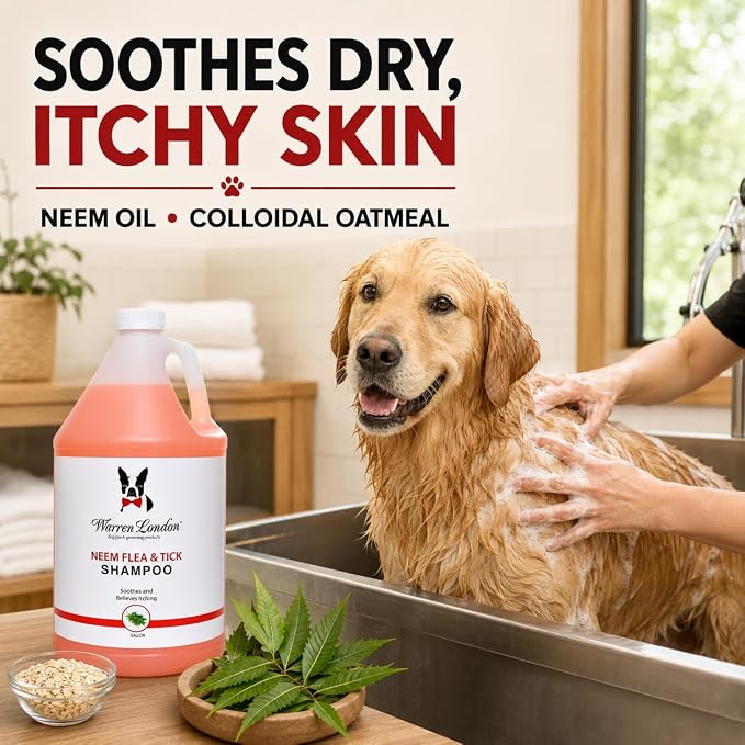 Warren London Neem & Oatmeal Dog Shampoo, 8:1 Concentrate, 1 Gallon