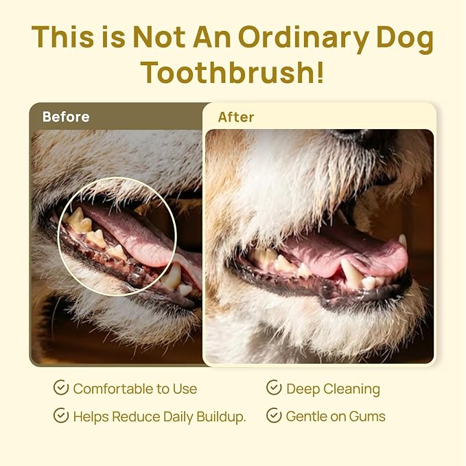 HICC PET Toothbrush for Cats & Small Dogs,Ergonomic Pet Toothbrush for Easy Teeth Cleaning,Gentle on Gums, Cat & Dog Oral Care – Toothpaste Not Included