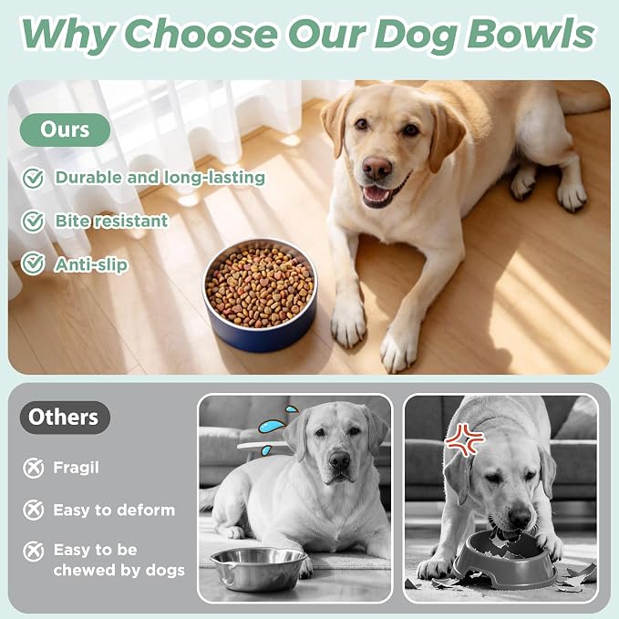 LIHONG Stainless Steel Dog Bowls for Large Dogs,Dog Food Water Bowls with Non Slip Rubber Bottom,Pet Feeding Bowl,Double Wall Insulated,Rustproof(64oz,Blue)