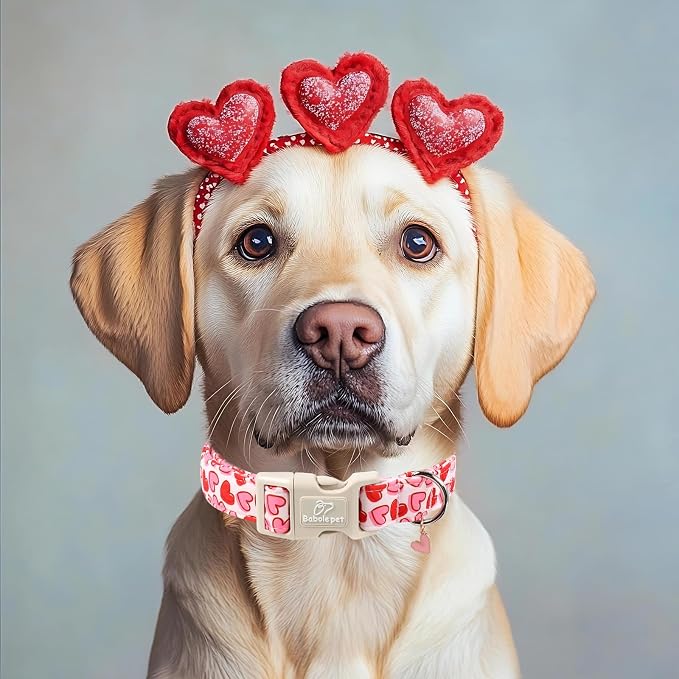 Valentines Dog Collar for Small Dogs - Pink Valentine Hearts Dog Collars, Girly Love Female Dogs Collars, Lightweight Adjustable Cute Puppy Collar with Quick-Release Buckle S
