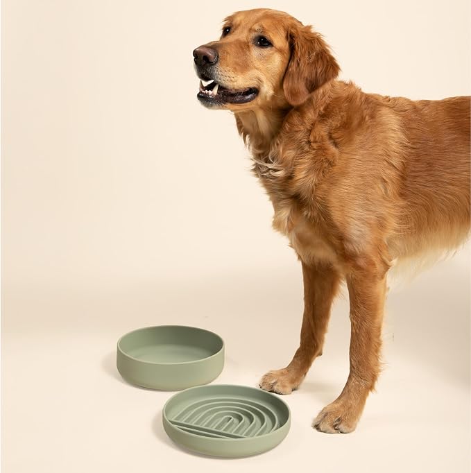 Should We Go? Slow Feeder Dog Bowls - Large Size Silicone Slow Eating Dog Bowl for Puppies & Dogs with Suction Cup -Dishwasher-Safe, Lick Mat Design, Reduces Gulping,for All Breeds,9.5”x1.5”- Sage