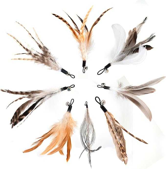 miwoowim Natural unstained Feathers,8PCS Cat Feather Toys Replacement Wand Toy Refills, Cat Feathers Refill for Indoor Cats,Perfect Wand Attachments