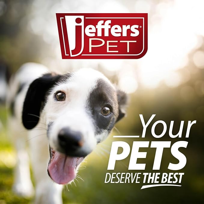 Jeffers Pet Nature's Best Cedar Shampoo for Dogs & Cats, 128 oz, Coconut Based Deodorizing Pet Shampoo, Soap & Detergent Free Grooming Bath Cleanser, with Cedar Oil, Aloe & Vitamin E, Made in USA
