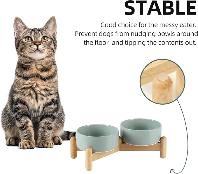Havniva 5.1inch Ceramic Raised Dog Bowl with Stand, Double Dog Bowls Elevated for Small Breed Dog Food and Water Bowl Set Non-Slip Dog Dish Large Capacity Feeding Pet Water Bowl