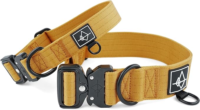 Made to ROAM Premium Dog Collar - Adjustable Heavy Duty Nylon Collar with Quick-Release Metal Buckle (Michigan Autumn, Classic Size 0)