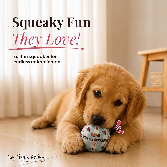 Dog Diggin Designs Dolchew & Grrrbone Plush Squeaky Dog Toy Ball | Luxury-Inspired Parody Designer Ball with Squeaker, Soft Plush Fetch Dog Toy – Prêt-à-Porter Play!