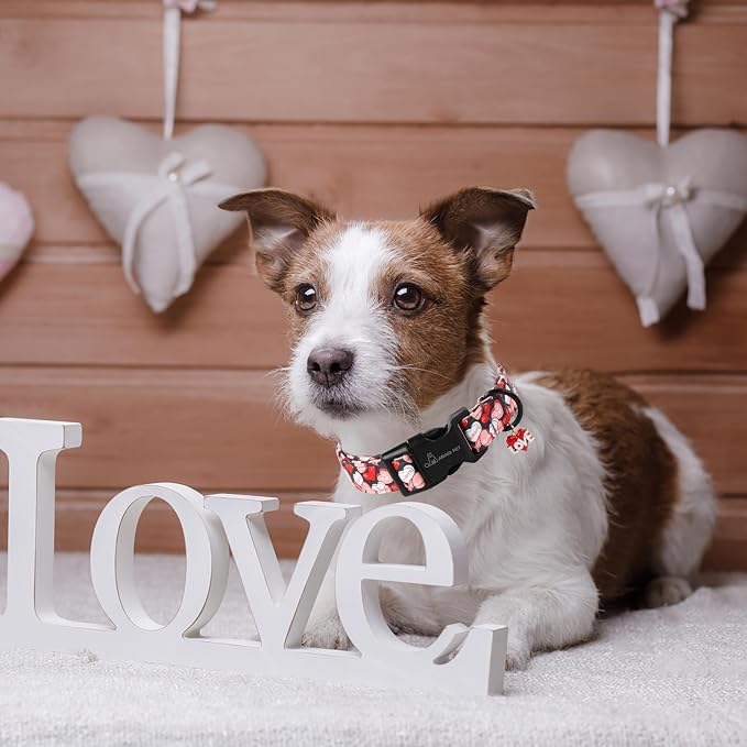 ARING PET Valentine's Day Dog Collar, Cute Black Red Heart Adjustable Valentines Pet Collars with Quick Release Buckle for Girl&Boy Dogs-L