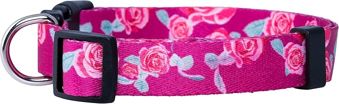 Native Pup Flower Dog Collar, Adjustable Small Medium Large, Cute Girl Female Summer Spring Pretty Designer Puppy Essentials Accessories, Pink Floral Blue Daisy Rose (Small, Roses)
