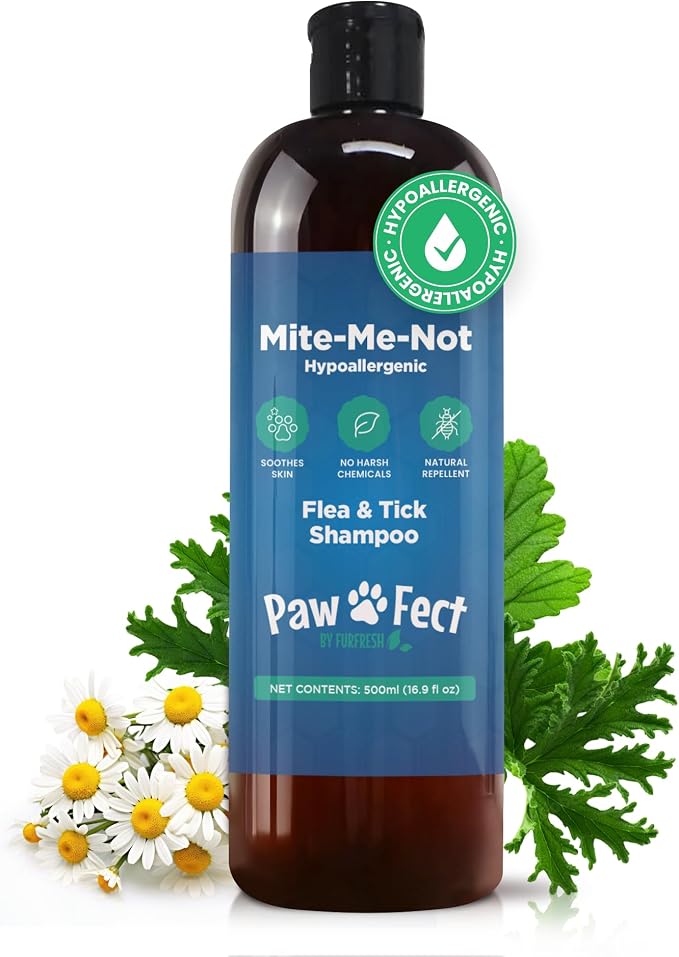 Pawfect, Mite-Me-Not Botanical Dog Shampoo, Citronella & Aloe Pet Shampoo | Made in Canada, Hypoallergenic Flea and Tick Relief Grooming Shampoo for Dogs, Cats & Small Pets Sensitive Skin, 16.9 Oz