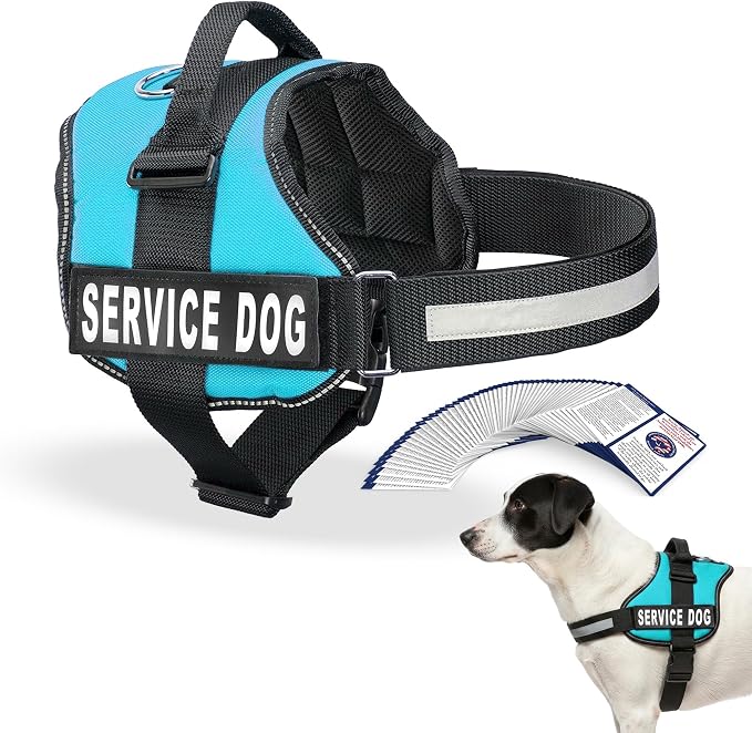Industrial Puppy Service Dog Vest Harness - Durable & Adjustable Vest for Dog with Reflective Straps, Removable Patches, 50 ADA Cards, Handle & D-Ring, Travel and Daily Use, (Blue, Medium 25"-32")