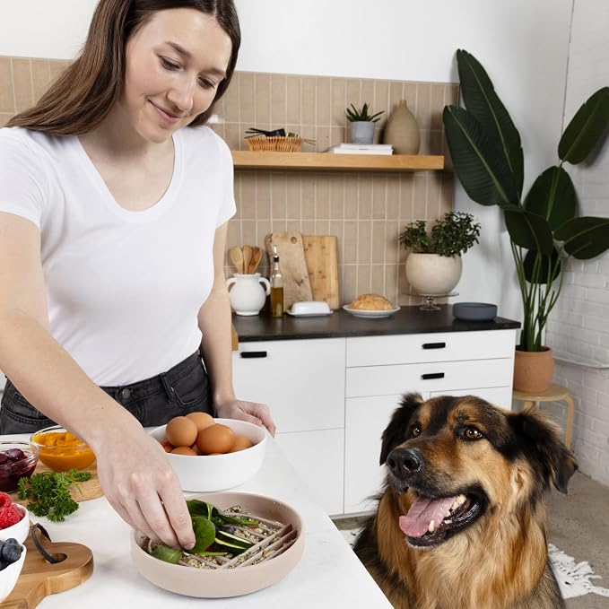 Should We Go? Slow Feeder Dog Bowls - Medium Size Silicone Slow Eating Dog Bowl for Puppies & Dogs with Suction Cup -Dishwasher-Safe, Lick Mat Design, Reduces Gulping,for All Breeds,7.5”x1.5”- Sand