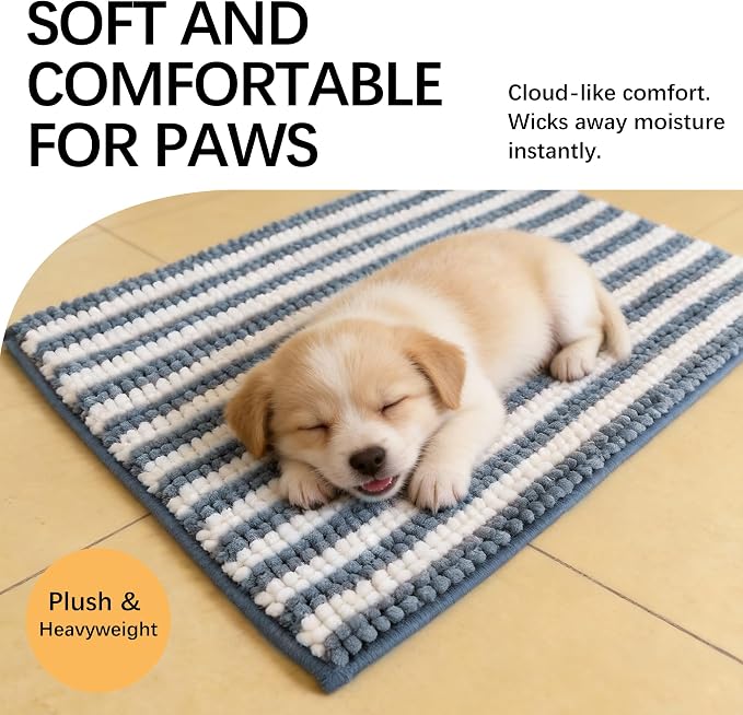Dog Door Mat for Muddy Paws - Absorbent Quick-Dry Non-Slip Washable Chenille Pet Rug, Indoor Entryway Mat for Front Door & Crate (Blue, 24" L*16" W)
