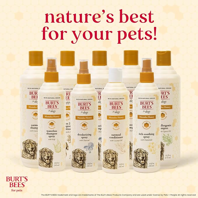 Burts Bees for Pets Manuka Honey 2-in-1 Shampoo and Conditioner, 16 Fl Oz | Jojoba oil formula, 2-in-1 shampoo and conditioner, 95% natural origin, sulfate-free
