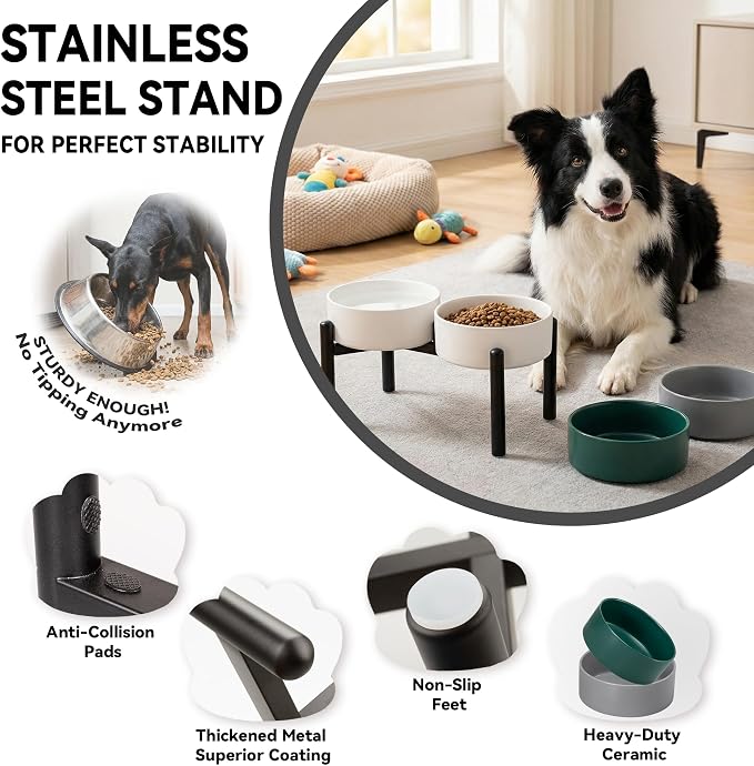 Dog Bowls Elevated - Ceramic Raised Dog Bowl with Non Slip Steel Stainless Stand - No Spill and Heated Feeding Station - Food and Water Dish Set for Medium to Large Pet - Each Holds 7.5 Cups – Green